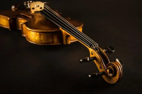 Violin 스톡 사진