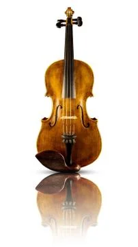 Violin 스톡 사진