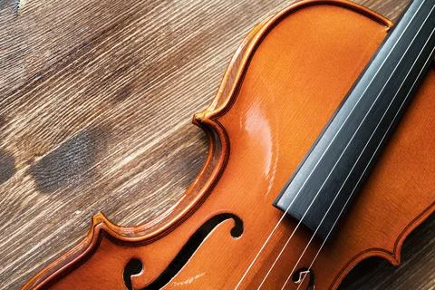 The violin 스톡 사진
