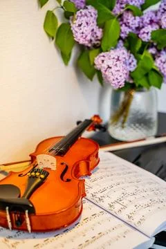 Violin Stock Photos