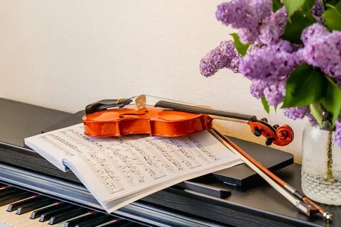 Violin Foto stock