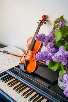 Violin Stock Photos