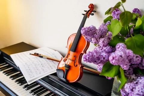 Violin Stock Photos