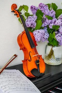 Violin Foto stock