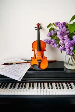 Violin Foto stock