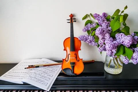 Violin Stock Photos