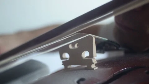 Violin playing [bridge close up] Video stock 71087989
