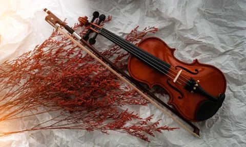Violin put on background 库存照片