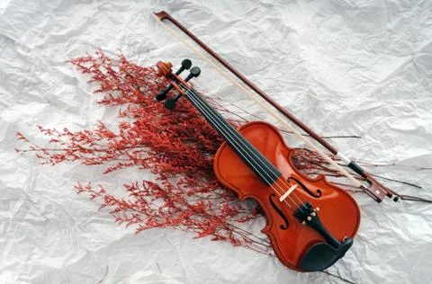 Violin put on background Stock Photos