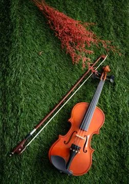 Violin put on background Stock-Fotos