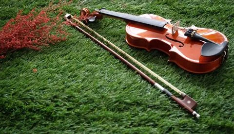 Violin put on background Foto stock