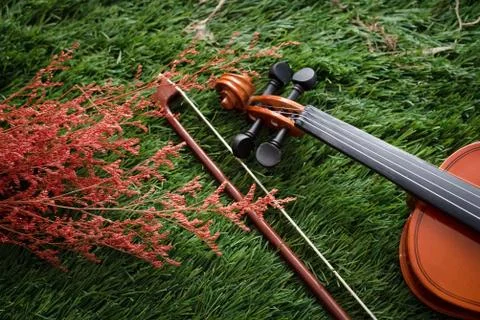 Violin put on background Foto stock
