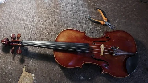 Violin repair Stock Footage 83446285