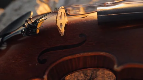 Violin On The Rock. Close-up Video stock 55449387