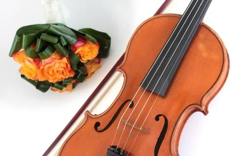 Violin with roses Foto stock
