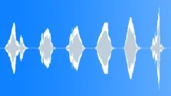 Violin screech 009Sound Effect