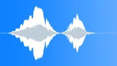 Violin screech 023Sound Effect