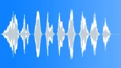 Violin screechSound Effect