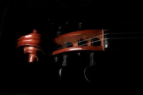 Violin scroll and bridge close-up Stock Photos