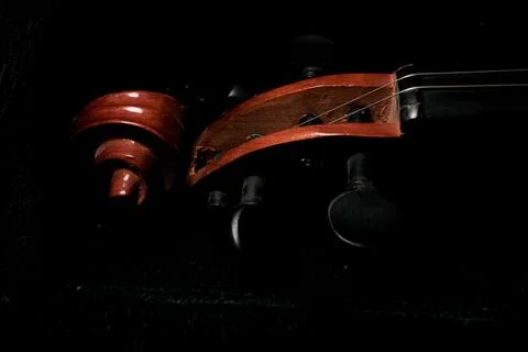 Violin scroll and pegbox close-up Stock Photos