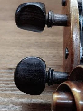 Violin scroll and pegs Stock Photos