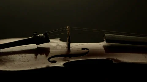 Violin Side Profile Stock Footage 39375538