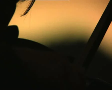 VIOLIN silhouette 2 Stockbeeldmateriaal 12573183