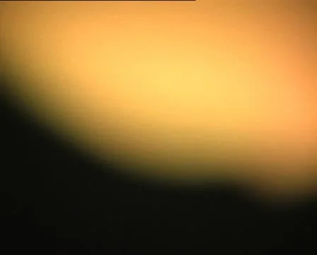 VIOLIN silhouette 3 Video stock 12573421