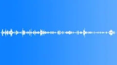 Violin solo ambient hall reverb effect /wav HQ Stock Music