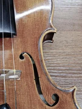 Violin-string musical instrument Stock Photos