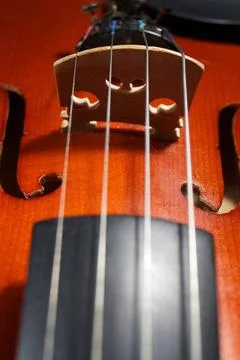 Violin strings old violin deck with strings close-up Copyright: xZoonar.co... Stock Photos