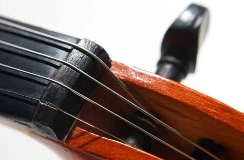 Violin strings old violin strings Copyright: xZoonar.com/A.Tugolukovx 3631... Stock Photos