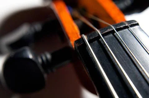 Violin strings old violin strings close-up Copyright: xZoonar.com/A.Tugolu... Stock Photos