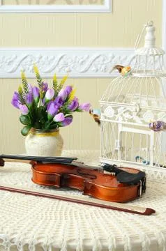 Violin on the table Stock Photos