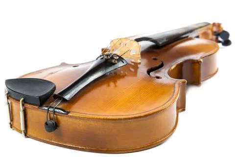 Violin on a white background. Stock Photos