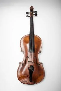 Violin on a white background Stock Photos