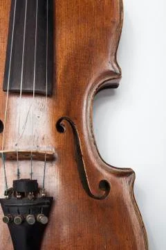 Violin on a white background Stock Photos