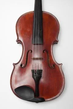 Violin on a white background Stock Photos