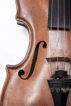 Violin on a white background Stock Photos