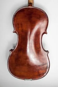 Violin on a white background Stock Photos