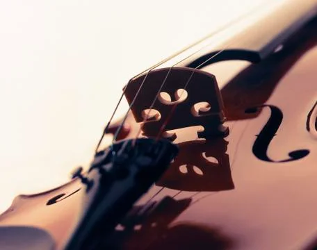 VIOLIN ON WHITE BACKGROUND Stock Photos