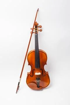 Violin on white background Stock Photos