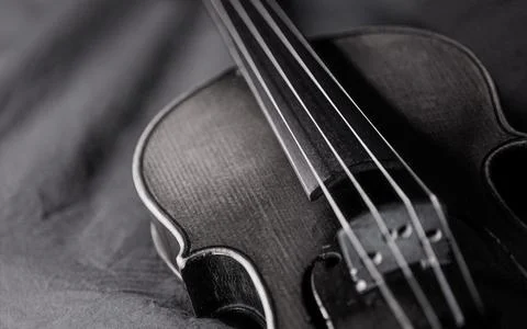 Violin_Black_White Stock Photos