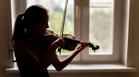 Violinist Stock Footage 27099836