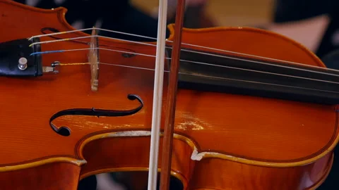 Violinist man fingering strings and bow in symphony orchestra, Close-up view Stock Footage 197799440