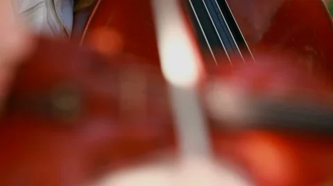 Violinist from the orchestra Stock Footage 1460927