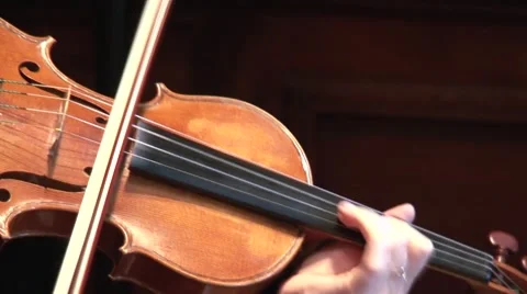 Violinist playing Stock Footage 48499649