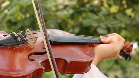 Violinist playing the violin Stock Footage 40467503