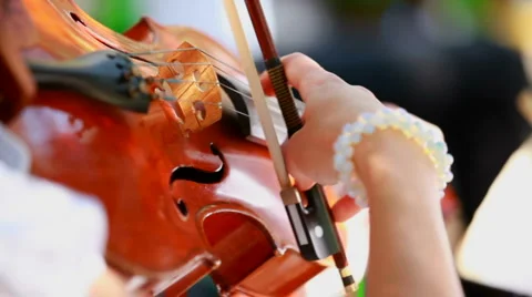 Violinist plays the violin Stock Footage 1460894