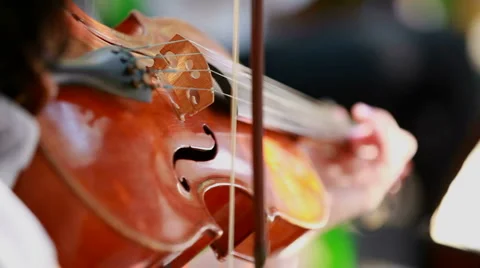 Violinist plays the violin Stock Footage 1460895